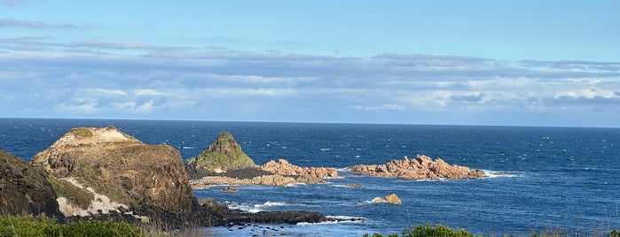 Phillip Island is one of Австралия.