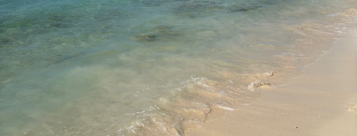 Marriott`s Piscadera Bay Beach is one of Curaçao.