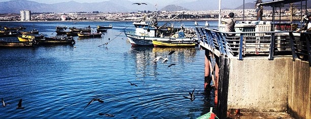 Puerto de Coquimbo is one of Locais curtidos por Antonio.