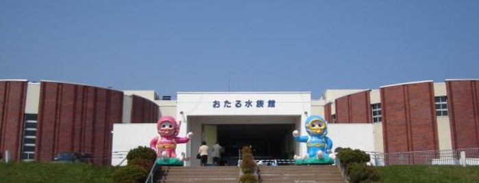 Otaru Aquarium is one of Japan hokkaido.