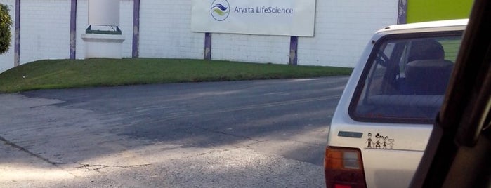 Arysta LifeScience is one of Customer.