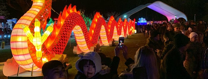 Nyc Winter Lantern Festival is one of สถานที่ที่ Lizzie ถูกใจ.