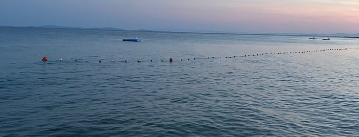 Hasanaki Balık Restaurant is one of Ayvalik - Fener.