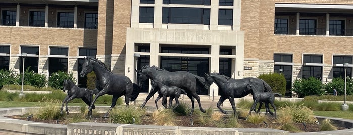 College Of Veterinary Medicine & Biomedical Sciences is one of GigEm.