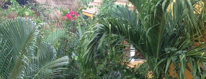 Playalingua Del Caribe is one of Posti che sono piaciuti a Kochi.