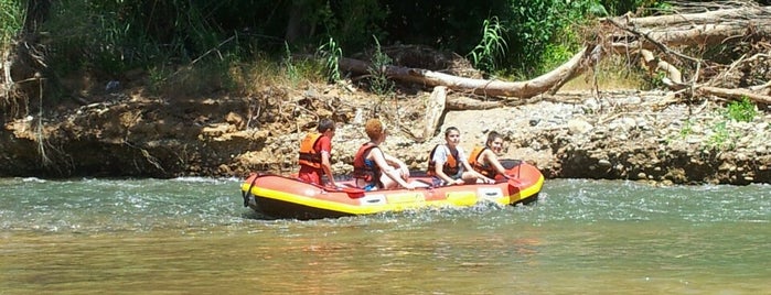 Kfar Blum Kayaks is one of Lugares favoritos de Danielle.