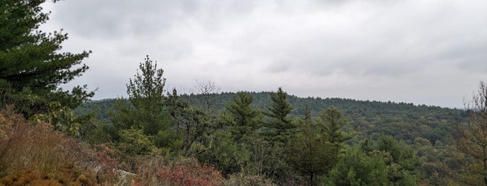 Blue Hills Reservation is one of OUTDOORS.