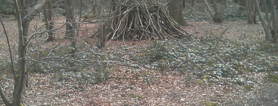 Tyrrels Wood is one of Long Stratton area.