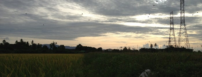 Paddy Field Sg.Puyu is one of Penang.