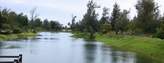 Pipa Lake is one of Lugares guardados de Rob.