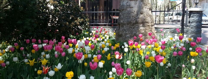 Beşiktaş İlçe Emniyet Müdürlüğü is one of Draco’s Liked Places.