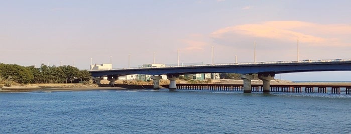 相模川河口 is one of 神奈川/Kanagawa.
