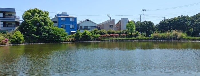 たんじょう池 is one of lake-kanagawa.