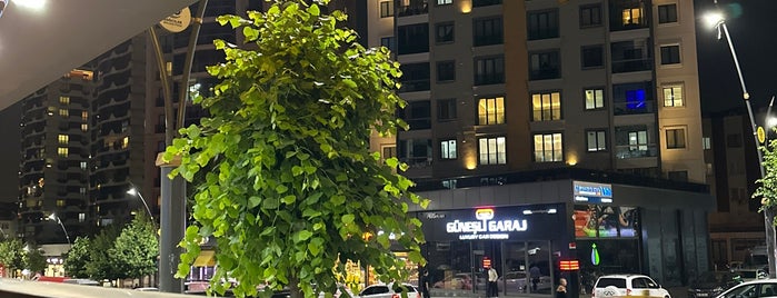 Pandora Güneşli is one of Istanbul Shisha ( Nargile ).