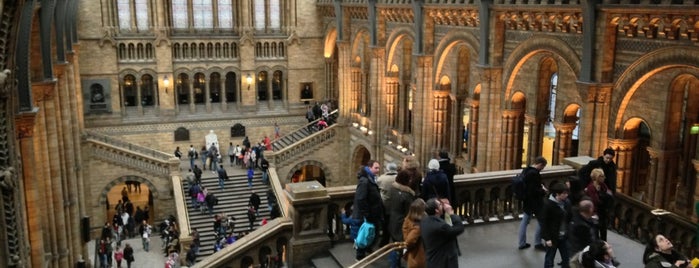 Natural History Museum is one of Things to do in 2014.