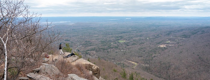 Huckleberry Point is one of Near Saugerties.