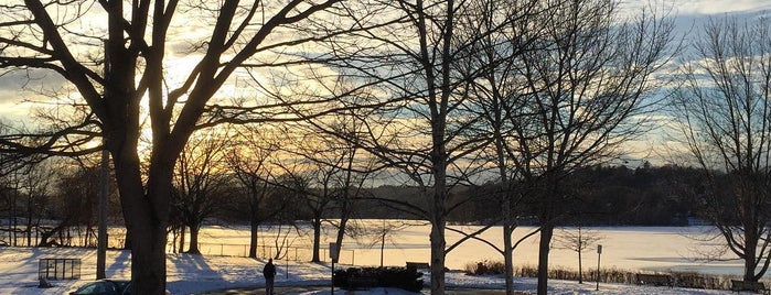 Spy Pond Park is one of Parks.