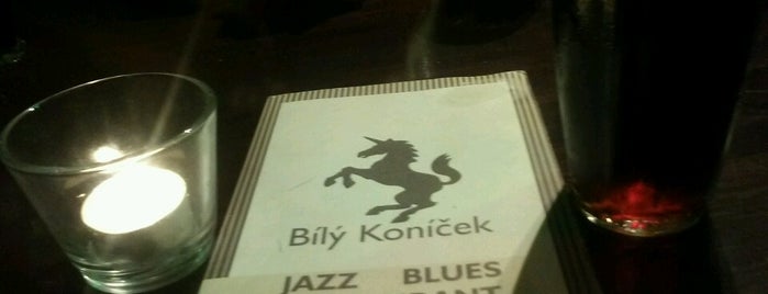 Jazz & Blues Bílý Koníček is one of Prague's best jazz clubs.