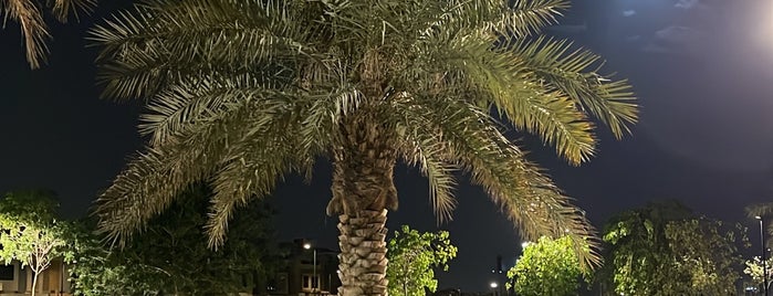 AlQairwan Park is one of Riyadh Outdoors.