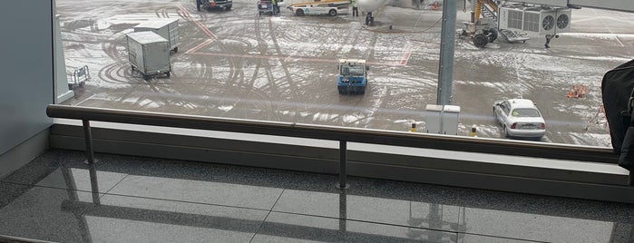 ボルィースピリ国際空港 (KBP) is one of Annaさんのお気に入りスポット.