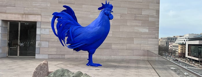 Blue Chicken is one of DC.