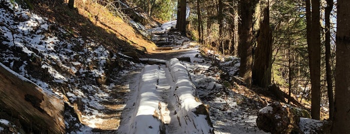 Appalachian Trail Newfound Gap Section is one of Lugares favoritos de Lizzie.