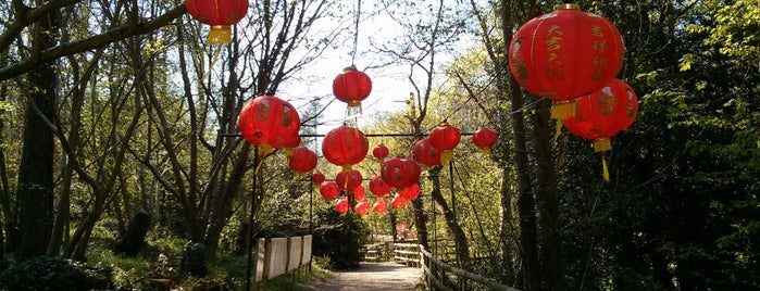 Robin Hill Adventure Park & Gardens is one of Isle of Wight.