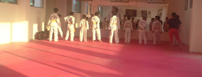 Moo Duk Kwan is one of Almaさんのお気に入りスポット.