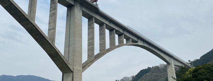 徳島道 池田へそっ湖大橋 is one of 土木学会田中賞受賞橋.