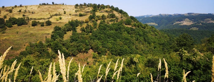 Parcul Natural Porțile de Fier is one of Parcuri Naționale și Naturale.