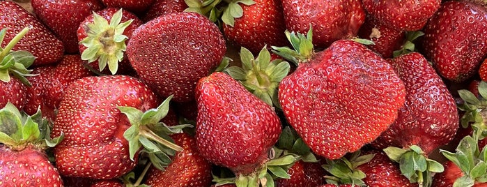 Mars téri piac (Market) is one of 🌶 Сегедин.