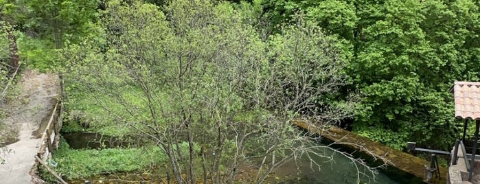 Les Fonts del Llobregat is one of Borredá.