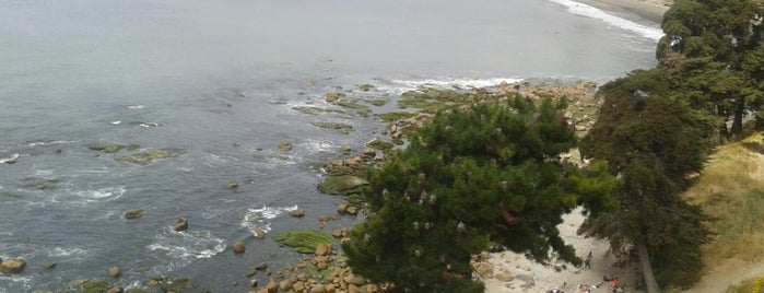 Bahia Pelicano Horcon is one of lugares mas frecuentes.