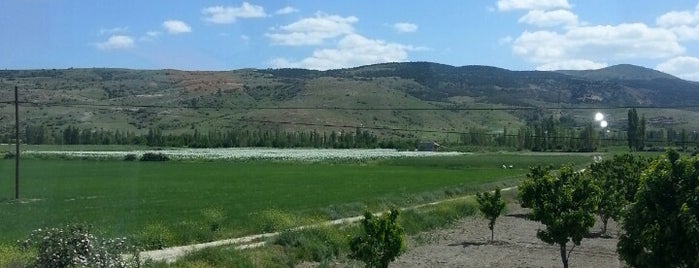 Heybeli Termal Tesisleri (Kızıl Kilise) is one of Arzu : понравившиеся места.