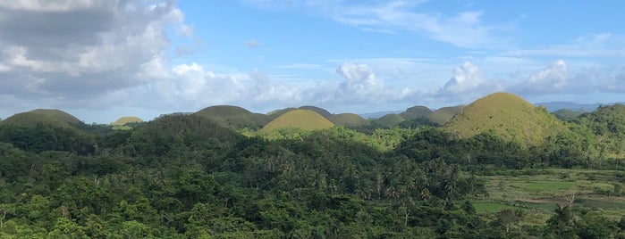 Bohol Island is one of Philippines:Palawan/Puerto/El Nido.
