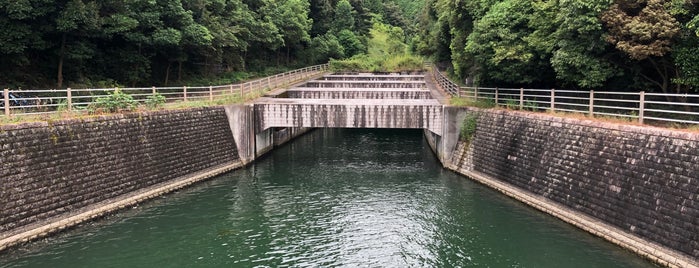月見橋 is one of 石山寺の堂塔伽藍とその周辺.