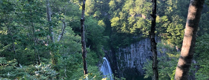 賀老の滝 (飛竜の滝) is one of 日本の滝百選.