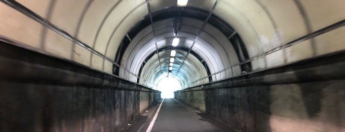 坂本墜道(坂本トンネル) is one of 横須賀.