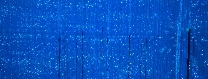 teamLab Planets is one of Tokyo museums and museum tours.
