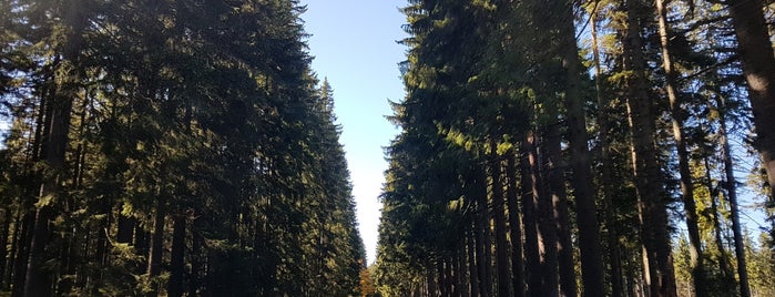 Národní park Šumava is one of Posti che sono piaciuti a Radoslav.