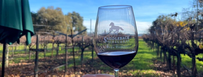 Saddleback Cellars is one of Sonoma.