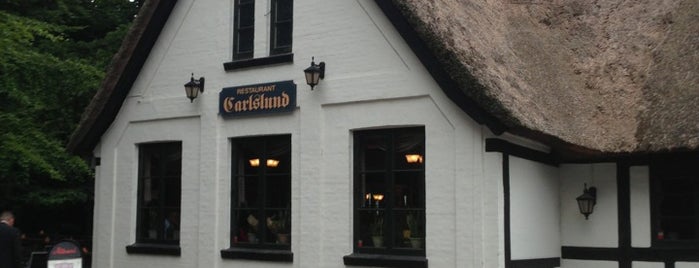 Restaurant Carlslund is one of Odense.