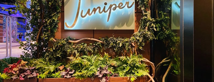 Juniper is one of Tempat yang Disukai Steve.