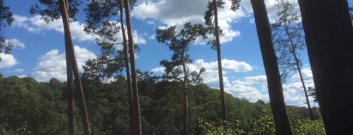 Голова Чацького is one of Lieux qui ont plu à Андрей.