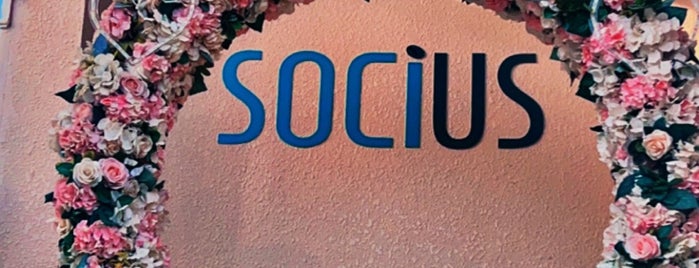 Socius is one of Abu Dhabi.