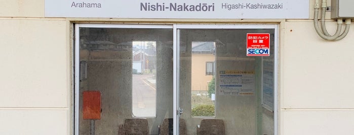 Nishi-Nakadōri Station is one of 新潟県の駅.