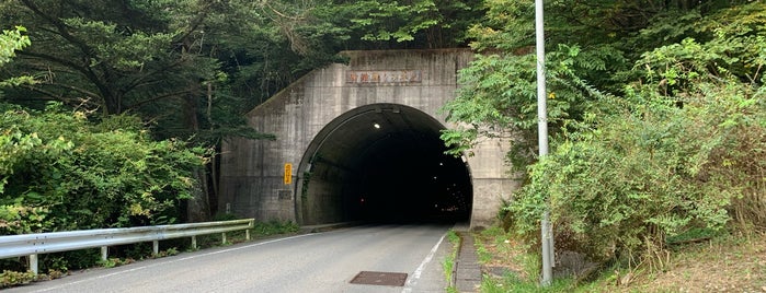 新雛鶴トンネル is one of ランドヌ東京.