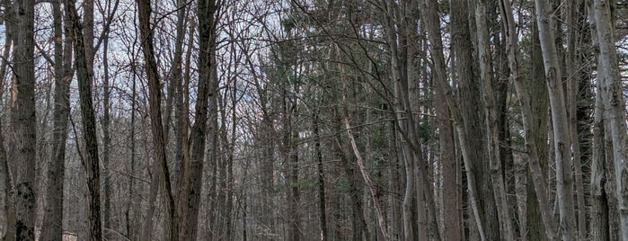 Mills Reservation is one of NJ Hiking.