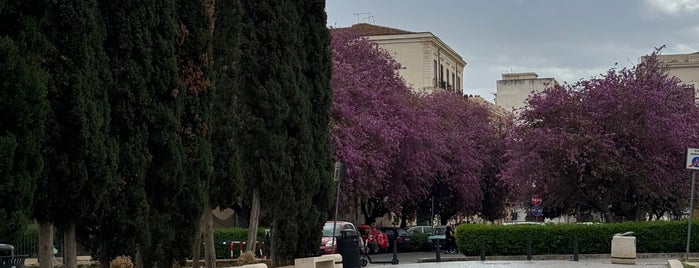 Palermo is one of Lieux qui ont plu à Ruud.