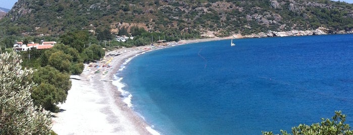 Ovabükü Sahil is one of plages.